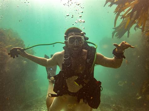 naked diving|My 100th Dive (aka Naked Dive) At Shaws Cove